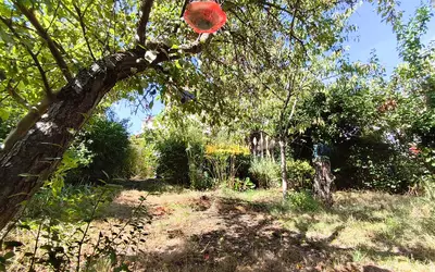 Houilles (78800)