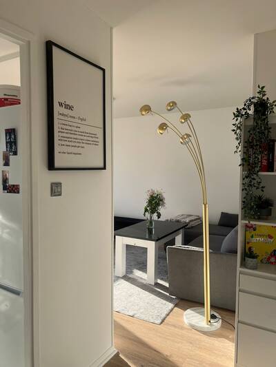 Location chambre en colocation 3 pièces Villeurbanne (69100)