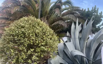 La Baule-Escoublac (44500)