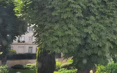 Paris 15E (75015)