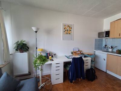 Location appartement studio Fontenay-aux-Roses (92260)