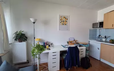 Fontenay-Aux-Roses (92260)