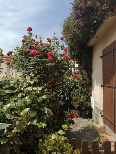 Vente appartement 3 pièces Banyuls-sur-Mer (66650)