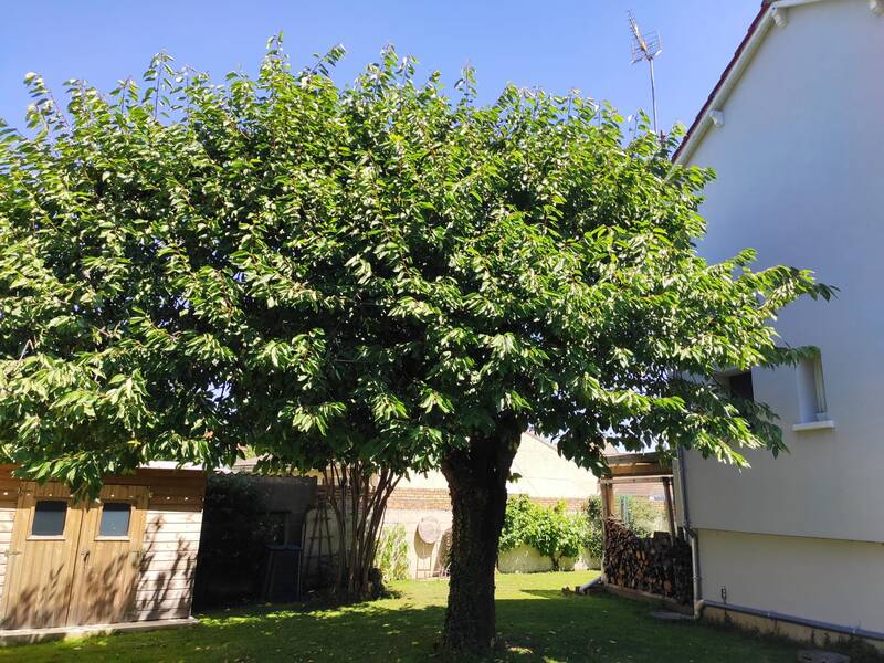 Montry (77450)