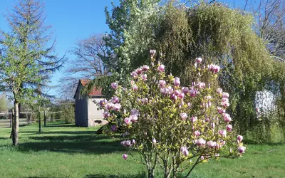 Beaufai (61270)