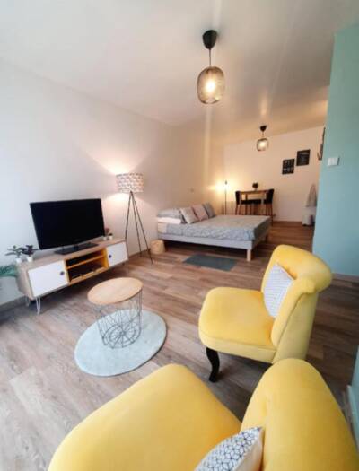 Vente appartement studio Lyon 7e