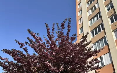 Rouen (76000)