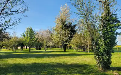 Vennecy (45760)