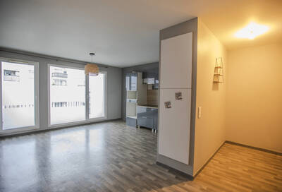 Vente appartement 3 pièces Sartrouville (78500)