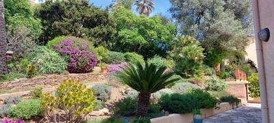 Vente maison 6 pièces Hyères (83400)