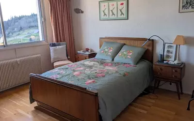 Chantraine (88000)