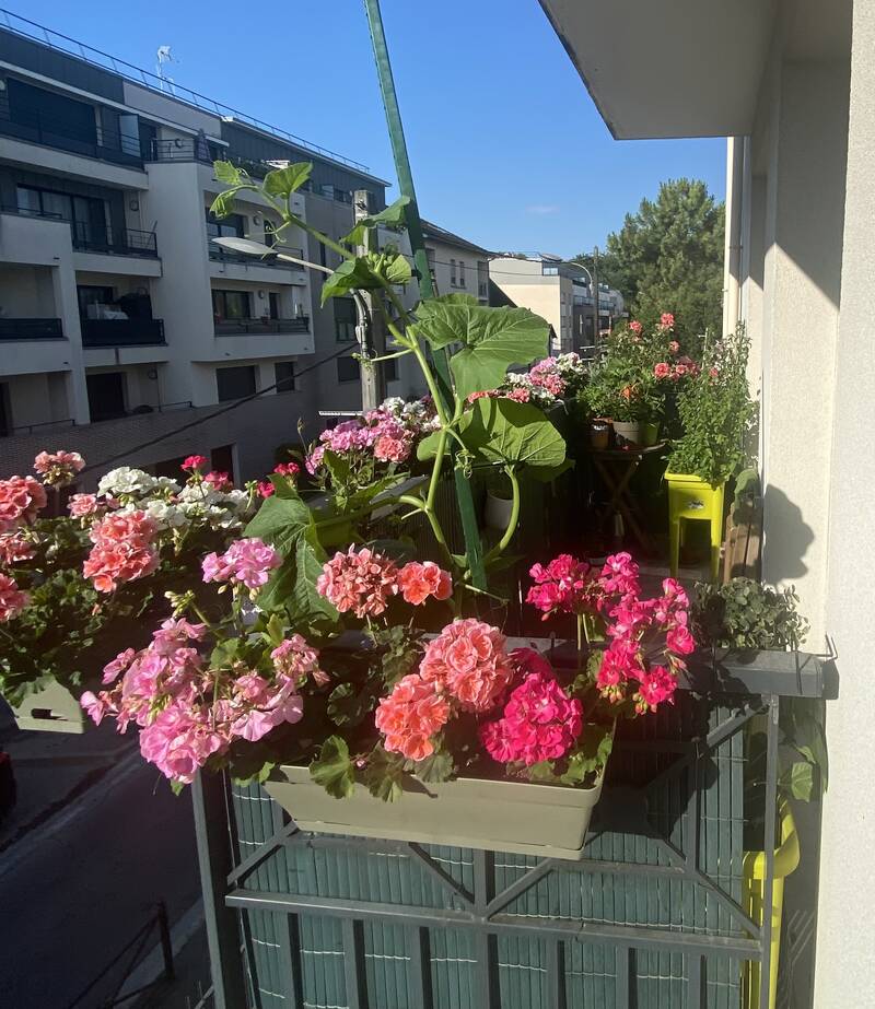 Villepinte (93420)