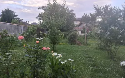 Aulnay-Sous-Bois (93600)