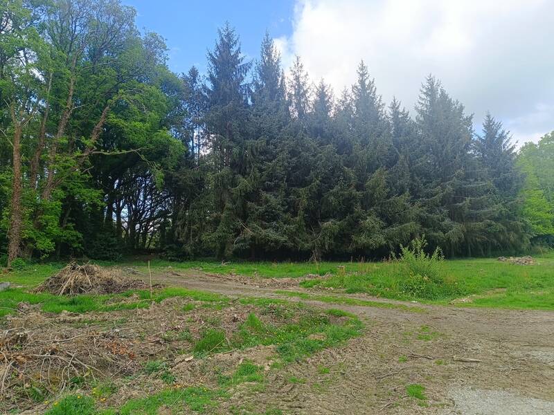 Bains-Sur-Oust (35600)
