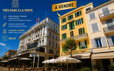 Cannes (06150)
