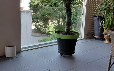 Alès (30100)