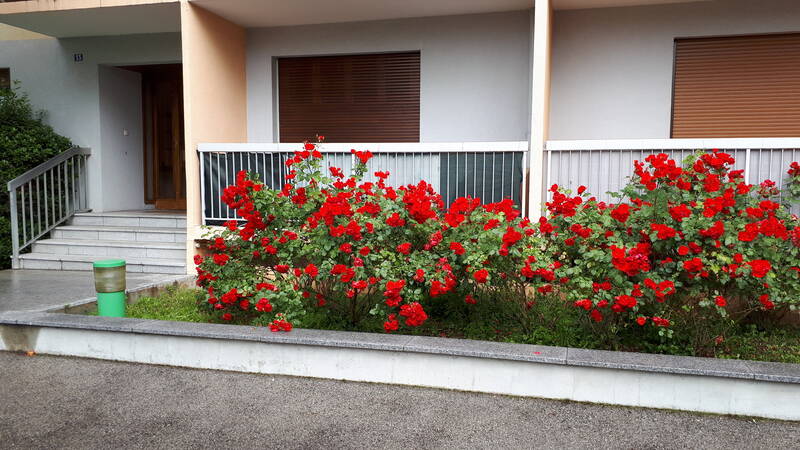 Annemasse (74100)