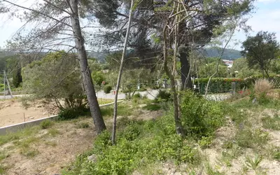 Draguignan (83300)