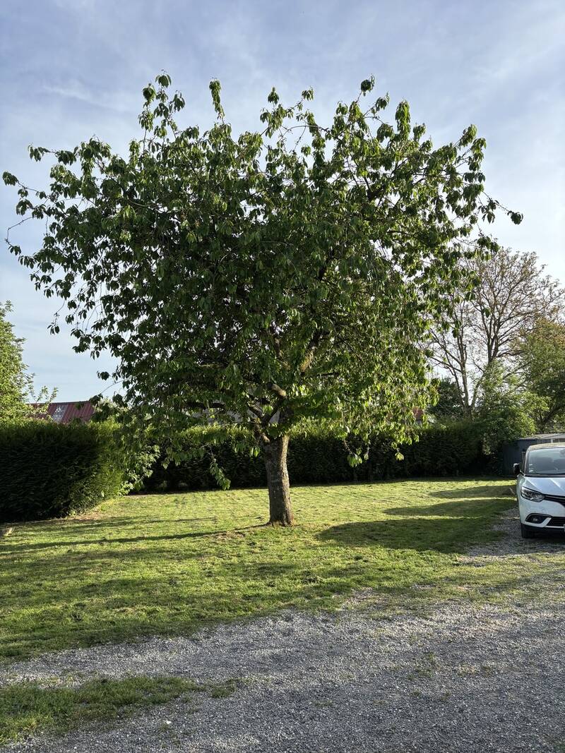 Heudicourt (80122)