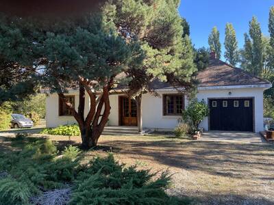 Vente maison 3 pièces Saint-Gondon (45500)