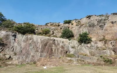 Mont-Dol (35120)