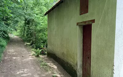 Mirandol-Bourgnounac (81190)