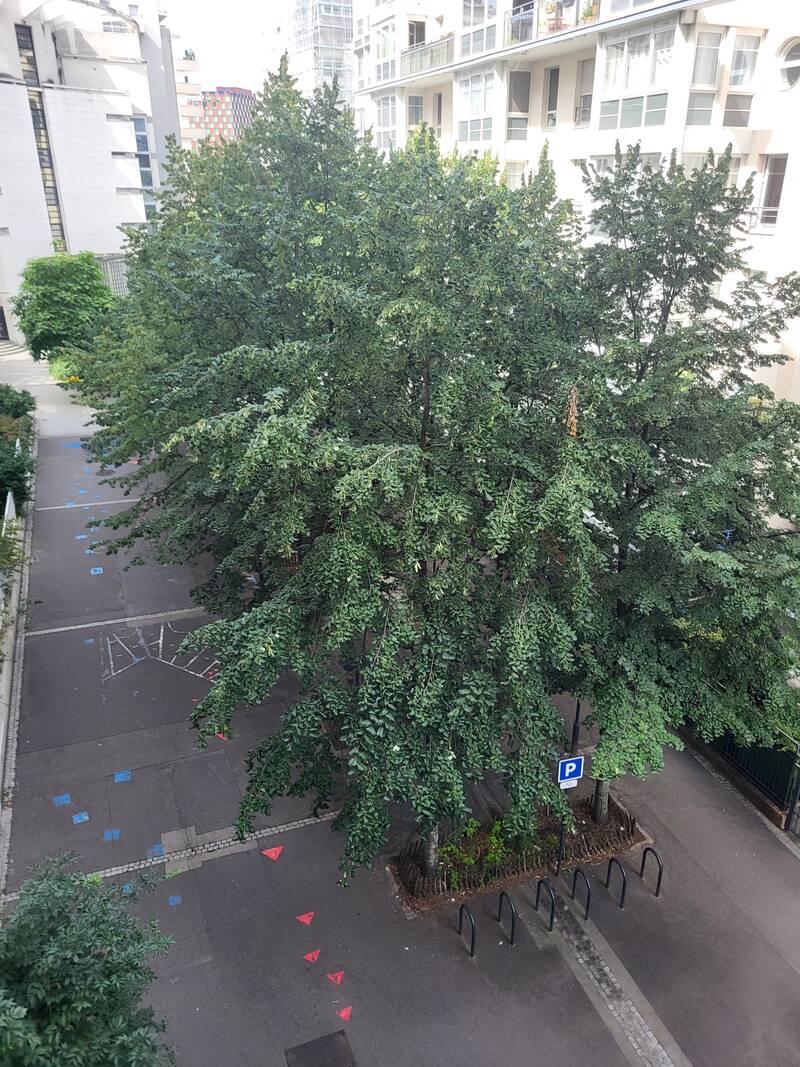 Courbevoie (92400)
