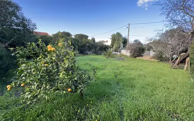 Fréjus (83600)