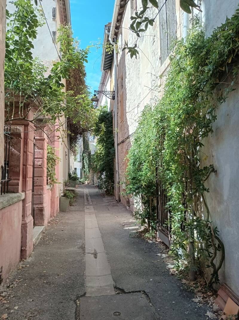 Arles (13104)
