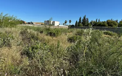 Tunisie