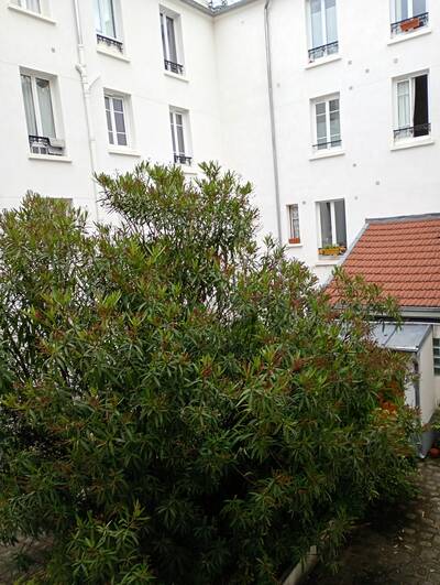 Location appartement studio Paris 11e