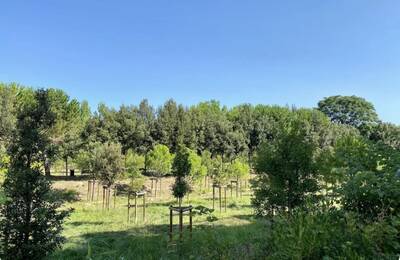 Location appartement 2 pièces Montpellier (34)