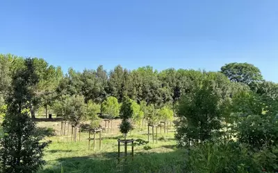 Montpellier (34000)