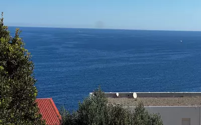 Calvi (20260)