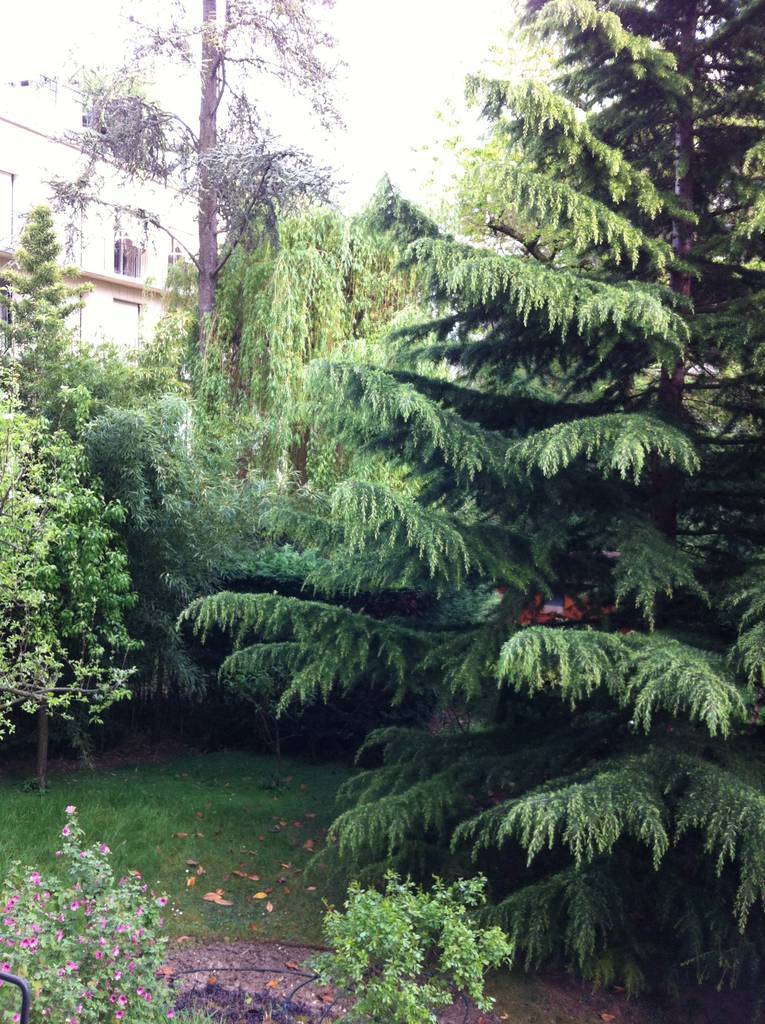 Neuilly-Sur-Seine (92200)