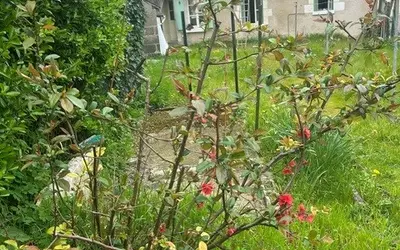 Preuilly-Sur-Claise (37290)