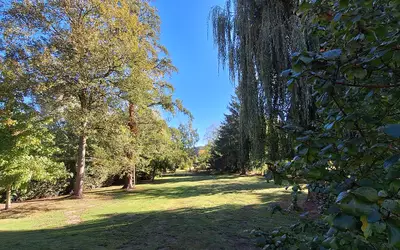 Saint-Amand-Les-Eaux (59230)