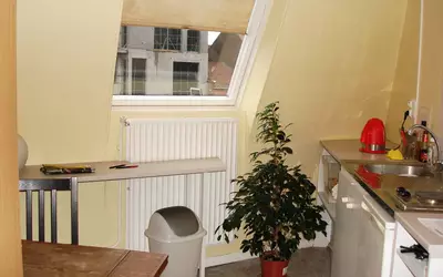 Lille (59)