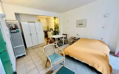 Avignon (84000)