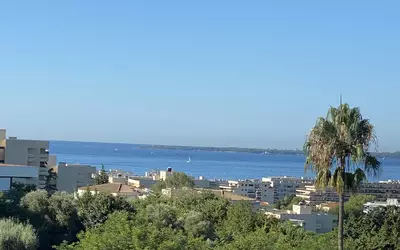 Antibes (06600)