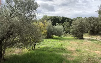 Puéchabon (34150)
