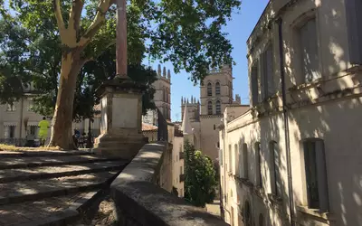 Montpellier (34000)