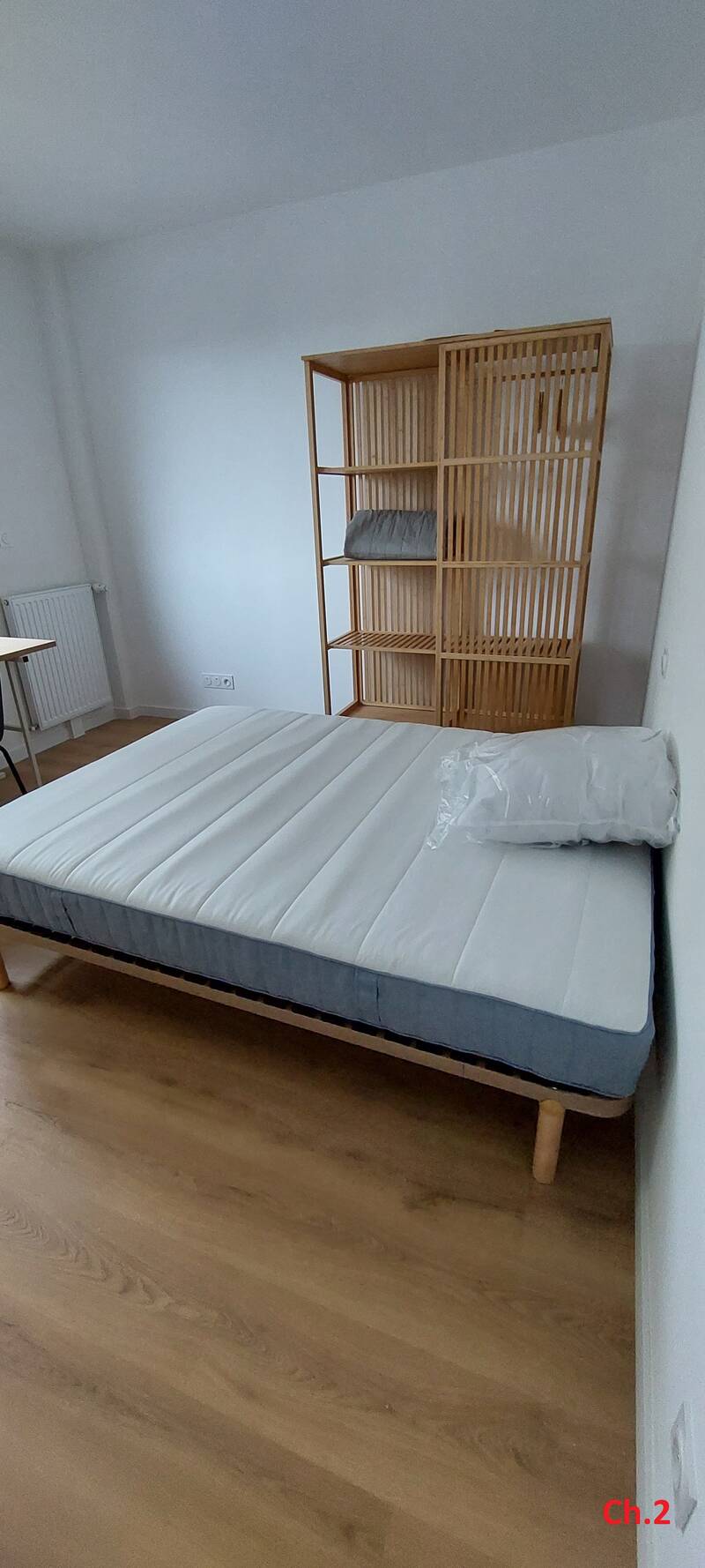 Rennes (35000)