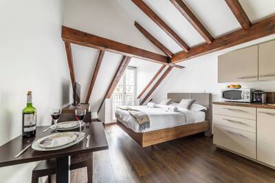 Location appartement studio Paris 1er