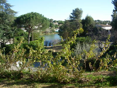 Location appartement 4 pièces Villeneuve-Loubet (06270)