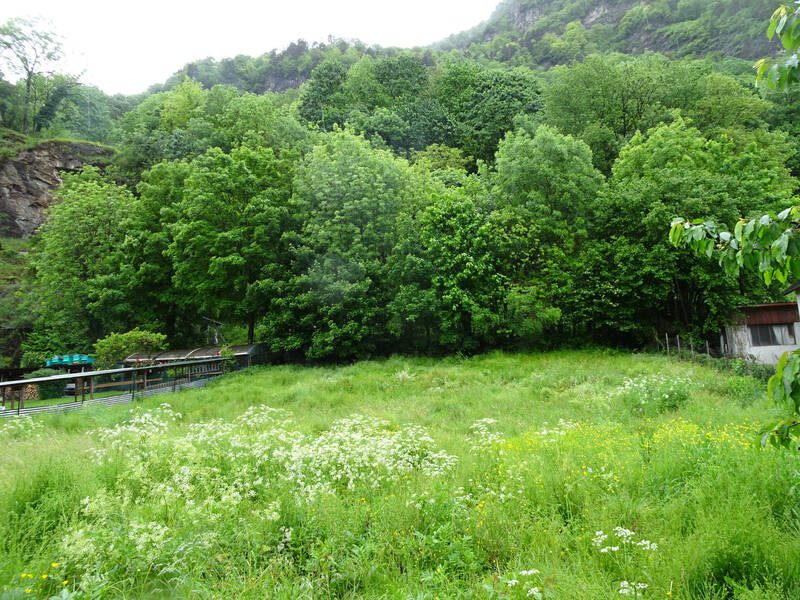 Bagnères-De-Luchon (31110)