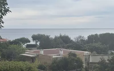 Cassis (13260)