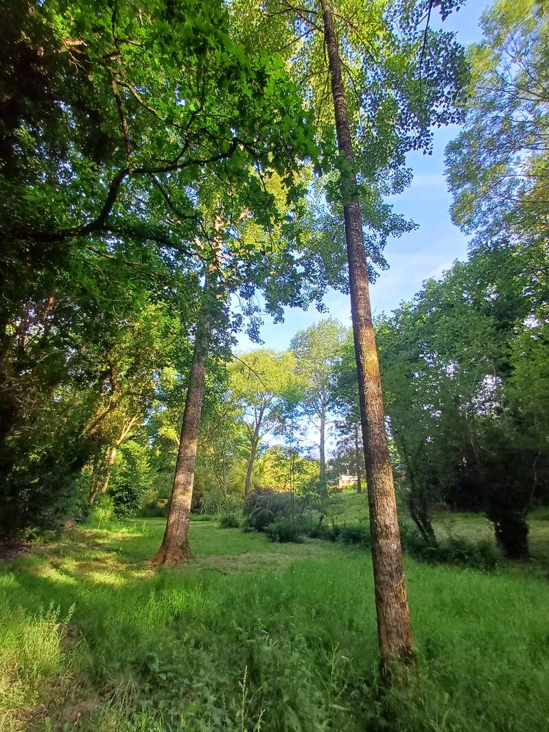 Moëlan-Sur-Mer (29350)