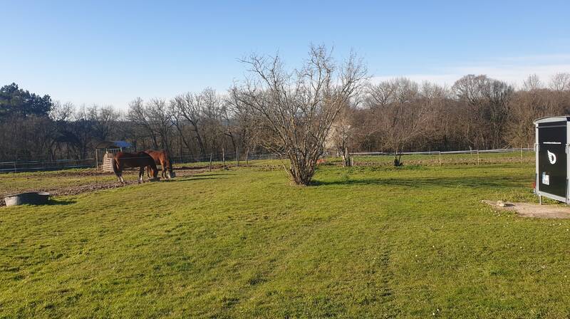 Coulounieix-Chamiers (24660)
