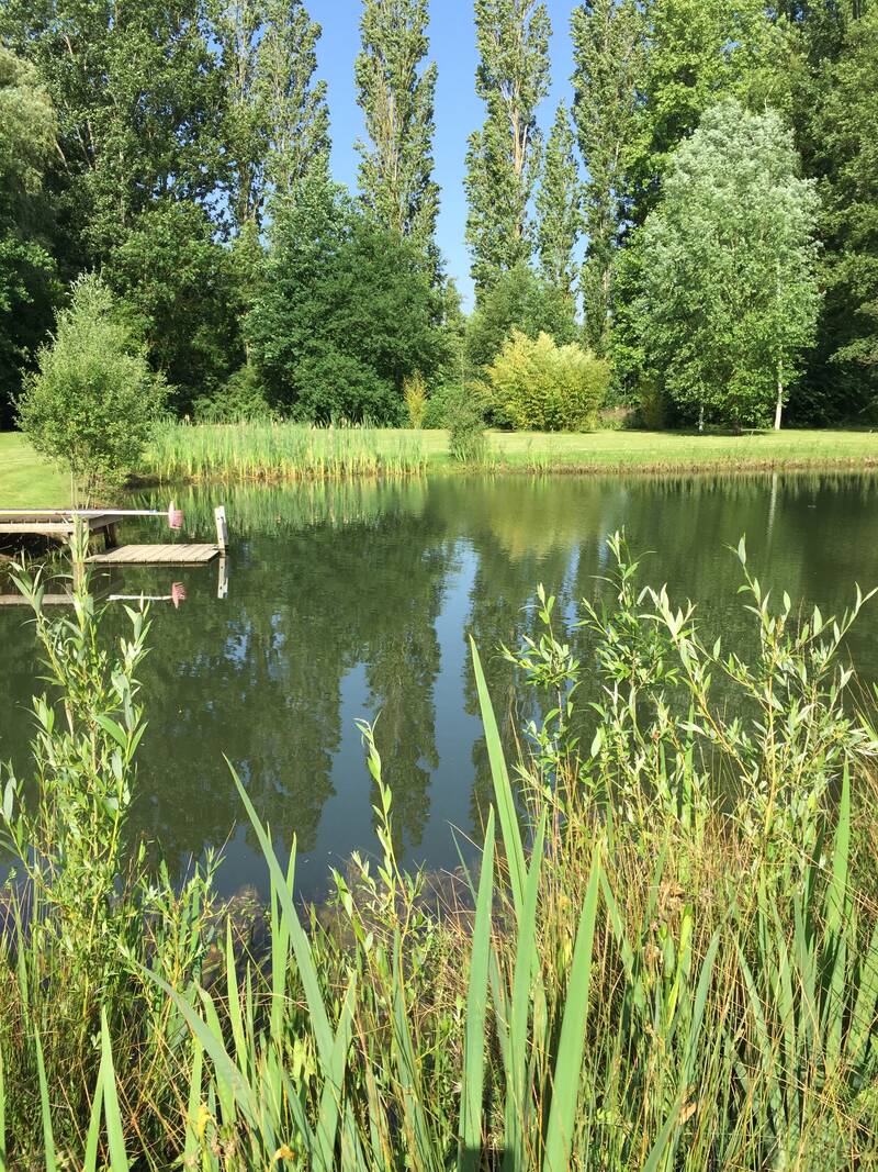 Breuillet (91650)
